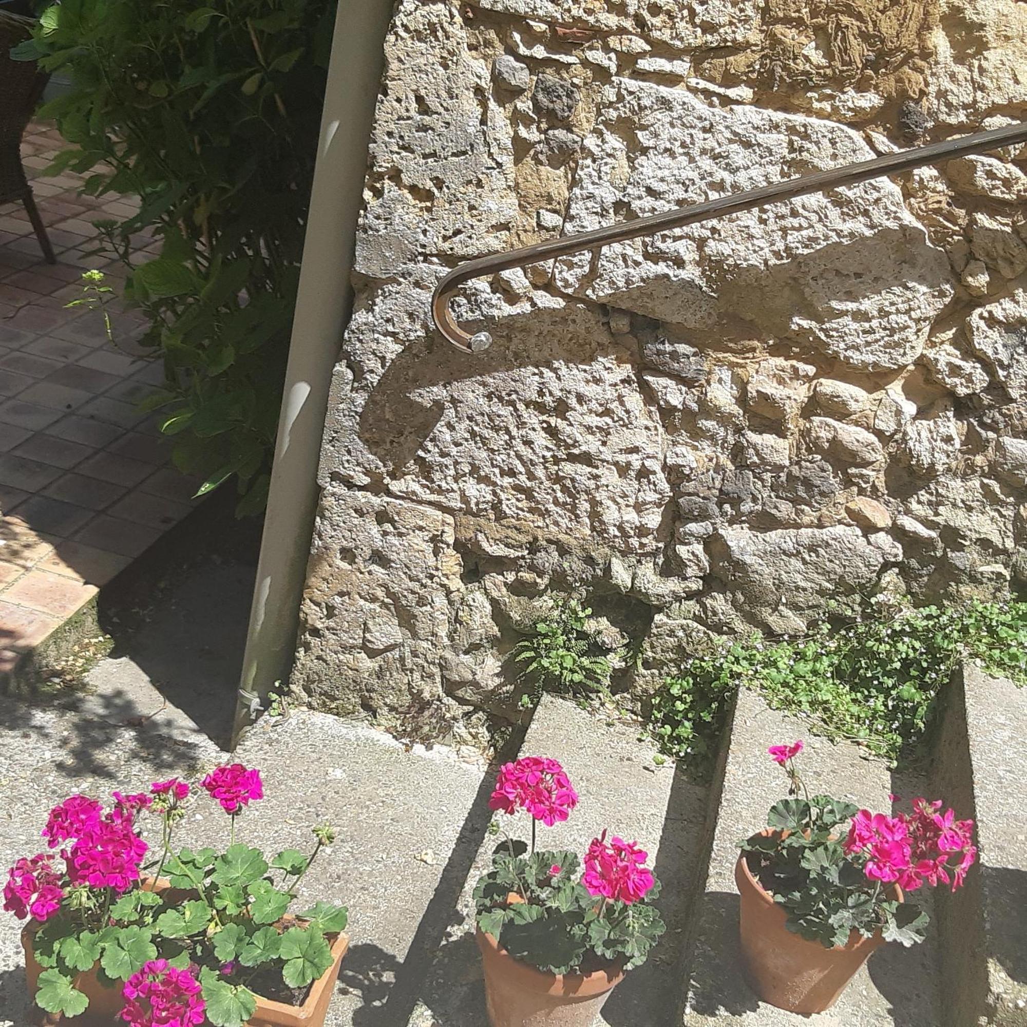 Barbaste La Maison 64 Chambre D'Hotes المظهر الخارجي الصورة