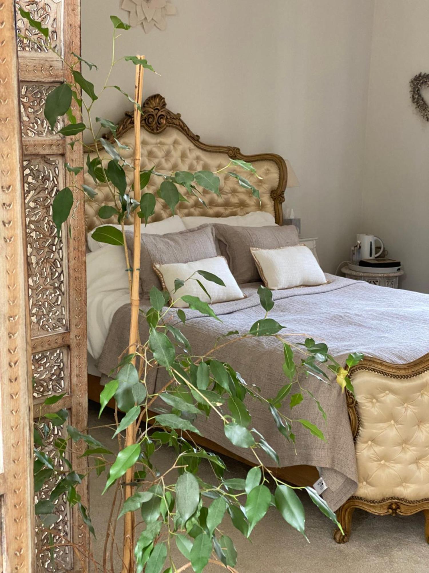 Barbaste La Maison 64 Chambre D'Hotes المظهر الخارجي الصورة